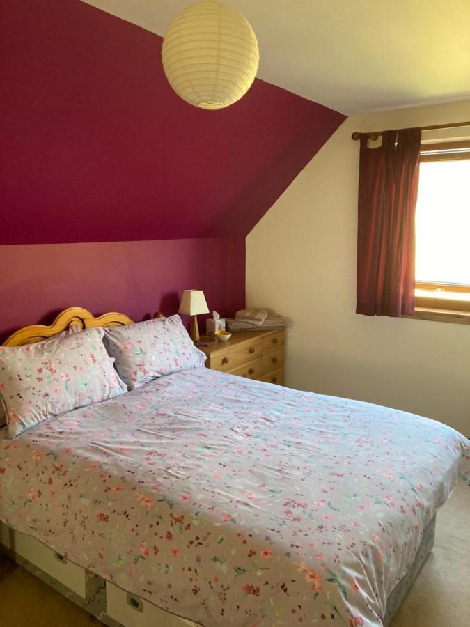 Springbank Apartment - Sleeps 4 - Pet Friendly 威廉堡 外观 照片