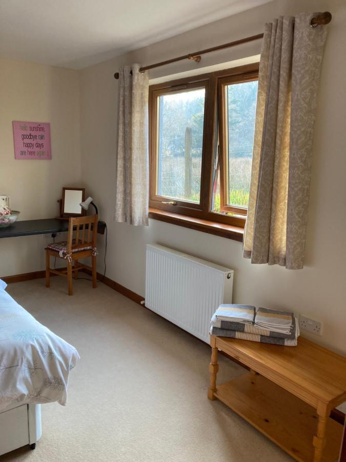 Springbank Apartment - Sleeps 4 - Pet Friendly 威廉堡 外观 照片