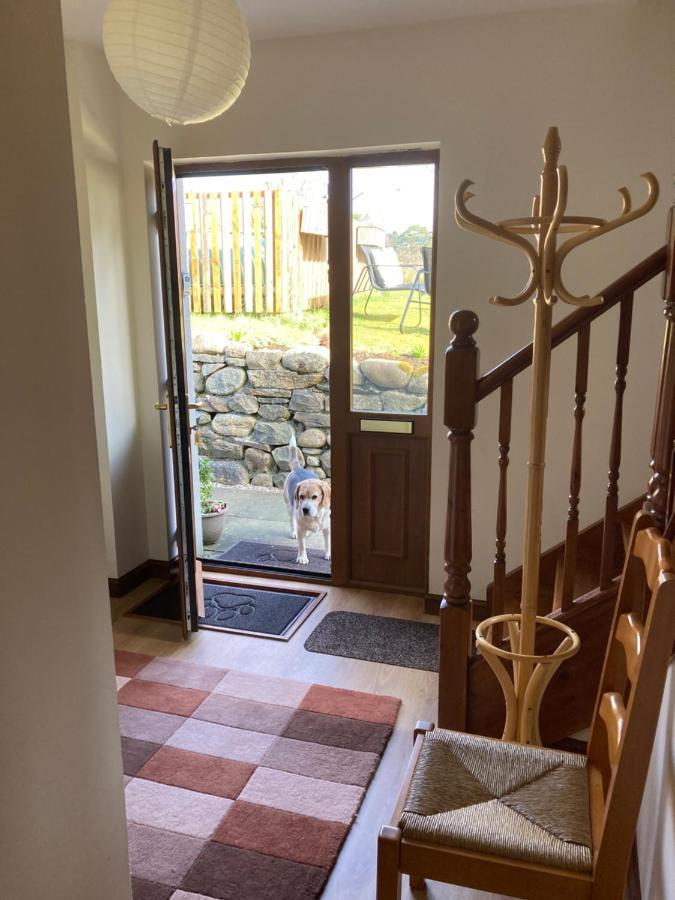 Springbank Apartment - Sleeps 4 - Pet Friendly 威廉堡 外观 照片