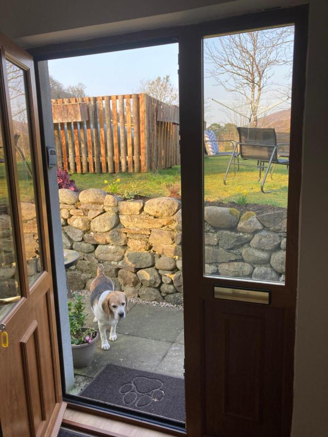 Springbank Apartment - Sleeps 4 - Pet Friendly 威廉堡 外观 照片